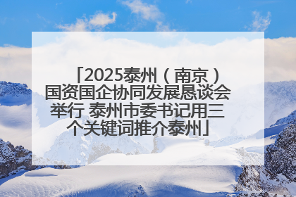2025泰州（南京）国资国企协同发展恳谈会举行 泰州市委书记用三个关键词推介泰州